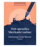 Hab-qoraalka sheekada gaaban