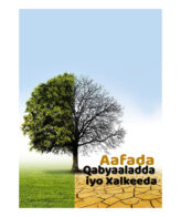 Aafada Qabyaaladda Iyo Xalkeeda