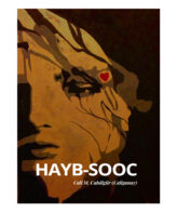 Hayb-sooc