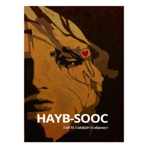 Hayb-sooc