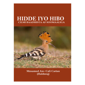 Hidde iyo Hibo